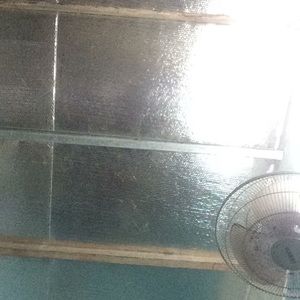 Meet your Posher, Chch